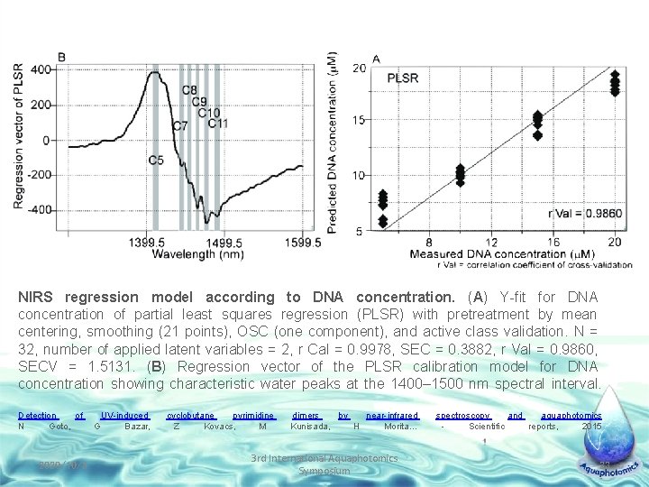 NIRS regression model according to DNA concentration. (A) Y-fit for DNA concentration of partial