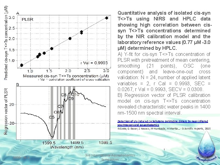 Quantitative analysis of isolated cis-syn T<>Ts using NIRS and HPLC data showing high correlation