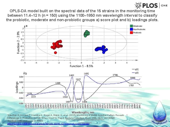 OPLS-DA model built on the spectral data of the 15 strains in the monitoring
