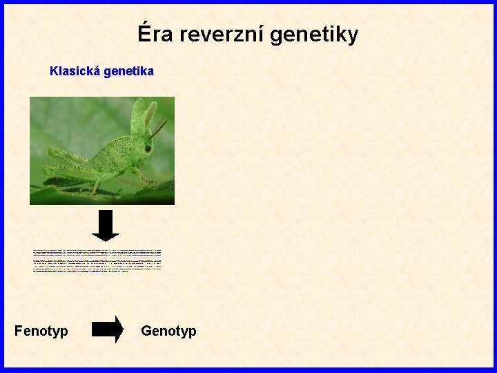 Éra reverzní genetiky Klasická genetika Fenotyp Genotyp 
