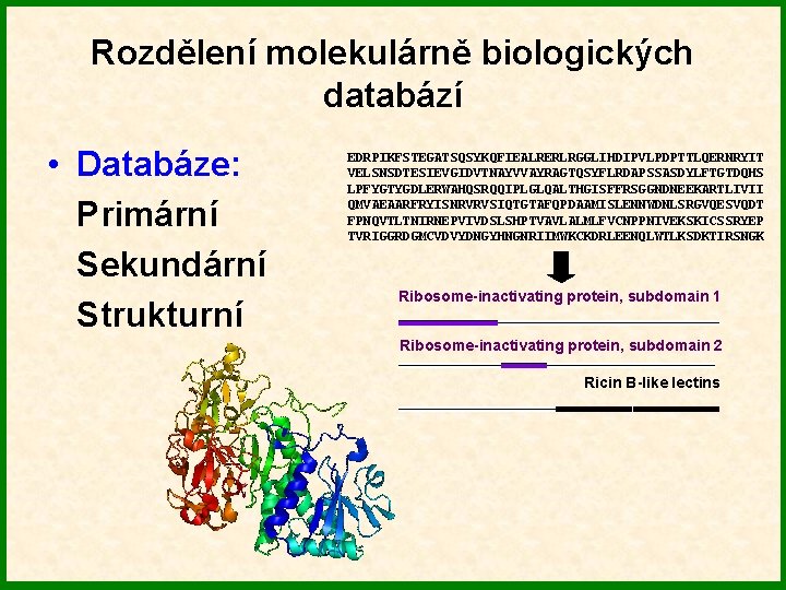 Rozdělení molekulárně biologických databází • Databáze: Primární Sekundární Strukturní EDRPIKFSTEGATSQSYKQFIEALRERLRGGLIHDIPVLPDPTTLQERNRYIT VELSNSDTESIEVGIDVTNAYVVAYRAGTQSYFLRDAPSSASDYLFTGTDQHS LPFYGTYGDLERWAHQSRQQIPLGLQALTHGISFFRSGGNDNEEKARTLIVII QMVAEAARFRYISNRVRVSIQTGTAFQPDAAMISLENNWDNLSRGVQESVQDT FPNQVTLTNIRNEPVIVDSLSHPTVAVLALMLFVCNPPNIVEKSKICSSRYEP