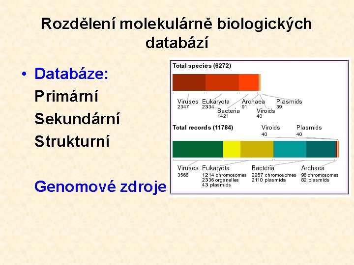 Rozdělení molekulárně biologických databází • Databáze: Primární Sekundární Strukturní Genomové zdroje 