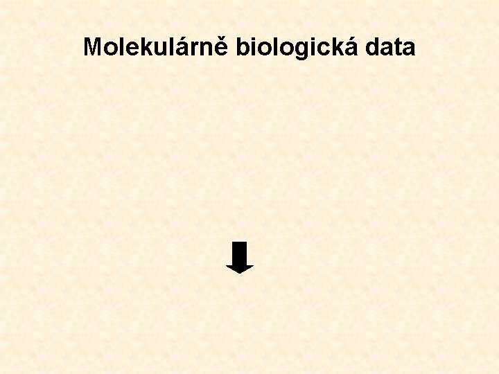 Molekulárně biologická data 