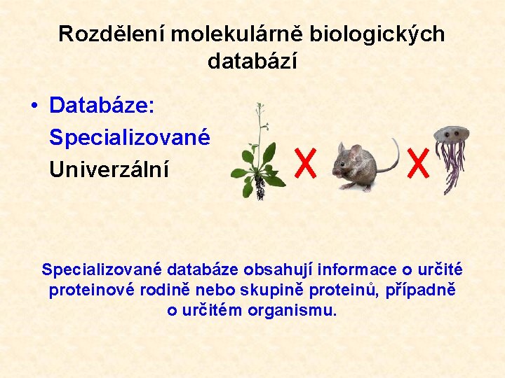 Rozdělení molekulárně biologických databází • Databáze: Specializované Univerzální Specializované databáze obsahují informace o určité