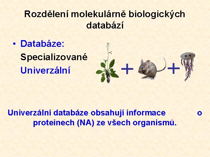 Rozdělení molekulárně biologických databází • Databáze: Specializované Univerzální databáze obsahují informace o proteinech (NA)