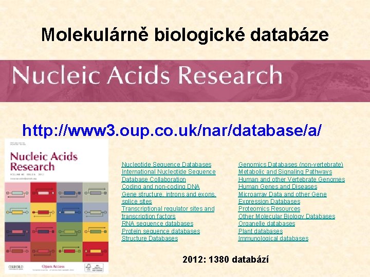 Molekulárně biologické databáze http: //www 3. oup. co. uk/nar/database/a/ Nucleotide Sequence Databases International Nucleotide