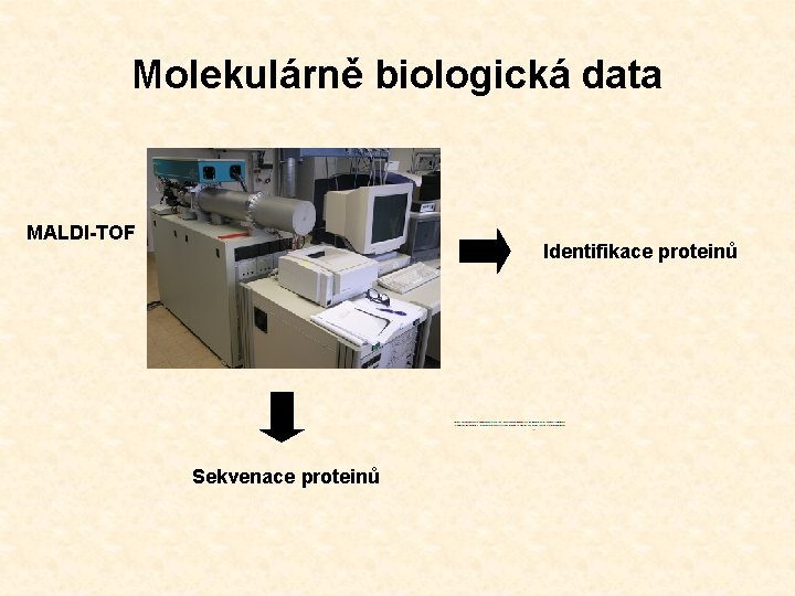 Molekulárně biologická data MALDI-TOF Identifikace proteinů Sekvenace proteinů 