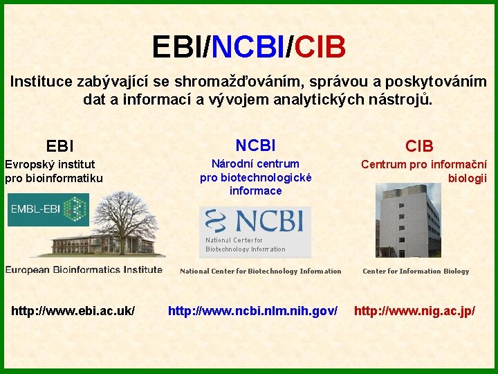 EBI/NCBI/CIB Instituce zabývající se shromažďováním, správou a poskytováním dat a informací a vývojem analytických