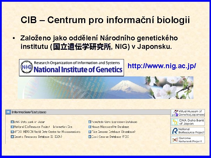 CIB – Centrum pro informační biologii • Založeno jako oddělení Národního genetického institutu (