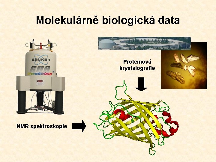 Molekulárně biologická data Proteinová krystalografie NMR spektroskopie 