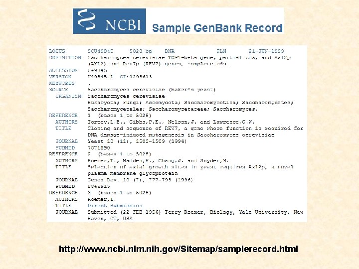 http: //www. ncbi. nlm. nih. gov/Sitemap/samplerecord. html 