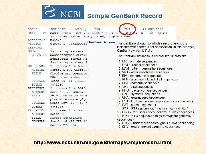 http: //www. ncbi. nlm. nih. gov/Sitemap/samplerecord. html 