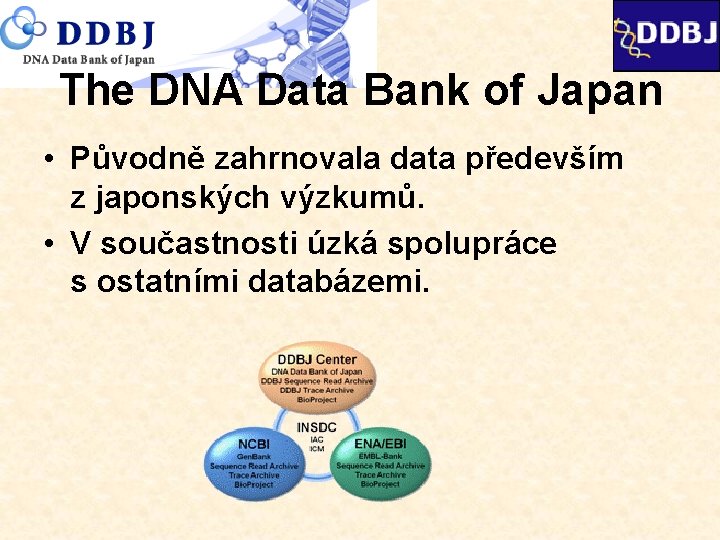 The DNA Data Bank of Japan • Původně zahrnovala data především z japonských výzkumů.
