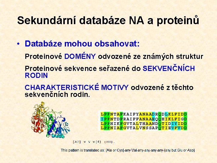 Sekundární databáze NA a proteinů • Databáze mohou obsahovat: Proteinové DOMÉNY odvozené ze známých