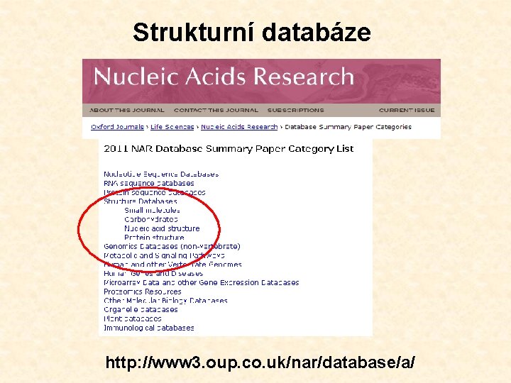 Strukturní databáze http: //www 3. oup. co. uk/nar/database/a/ 