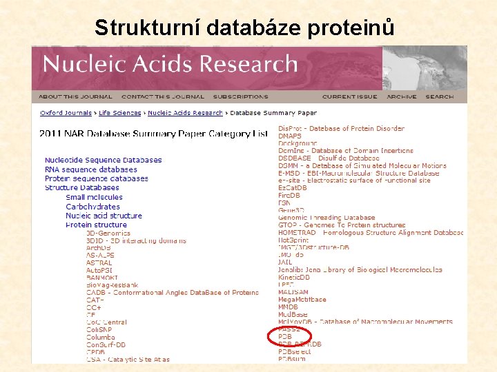 Strukturní databáze proteinů 