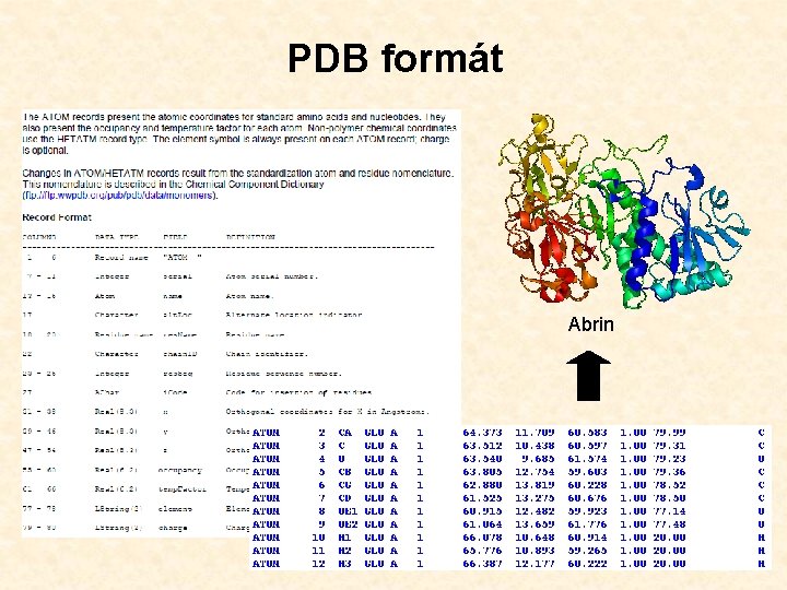 PDB formát Abrin 