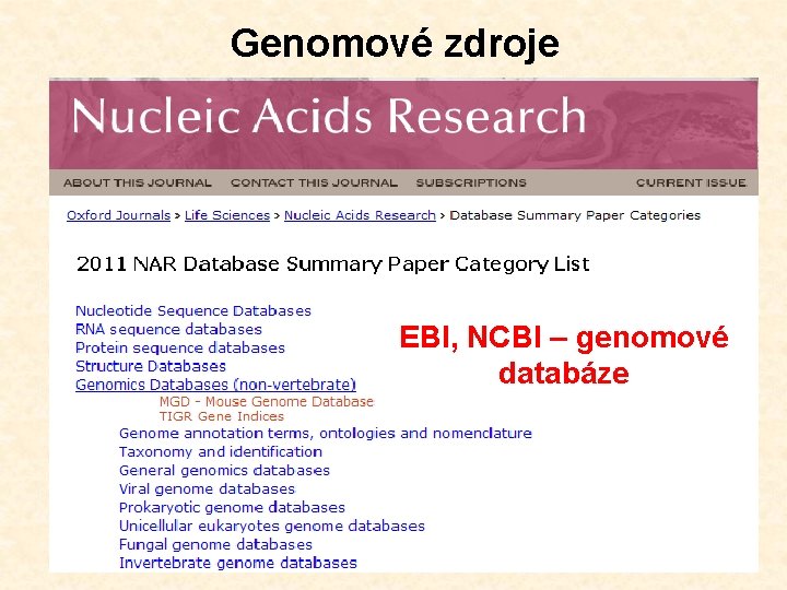 Genomové zdroje EBI, NCBI – genomové databáze 