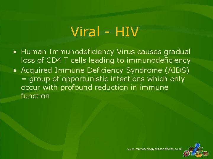 Viral - HIV • Human Immunodeficiency Virus causes gradual loss of CD 4 T