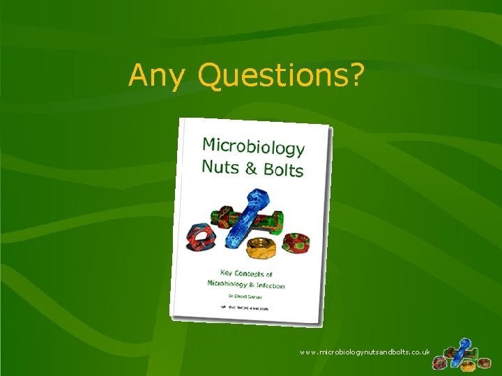 Any Questions? www. microbiologynutsandbolts. co. uk 