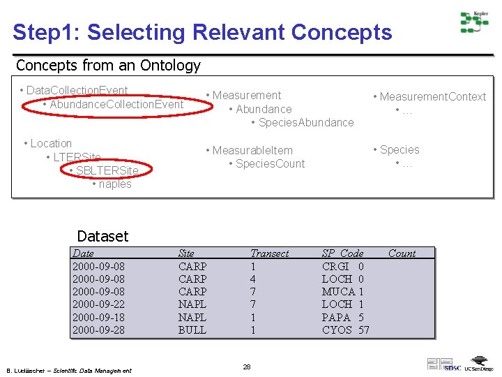 Step 1: Selecting Relevant Concepts from an Ontology • Data. Collection. Event • Abundance.