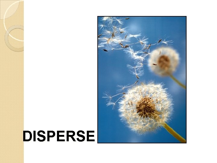 DISPERSE 