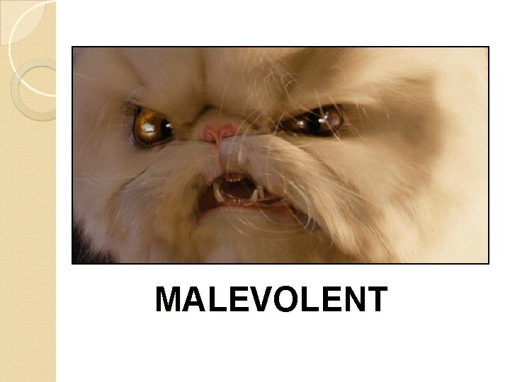 MALEVOLENT 