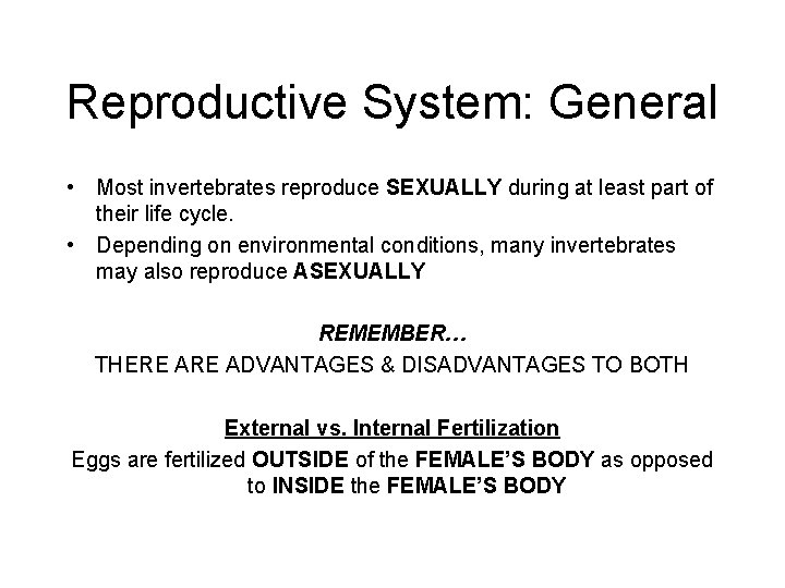 Reproductive System: General • Most invertebrates reproduce SEXUALLY during at least part of their