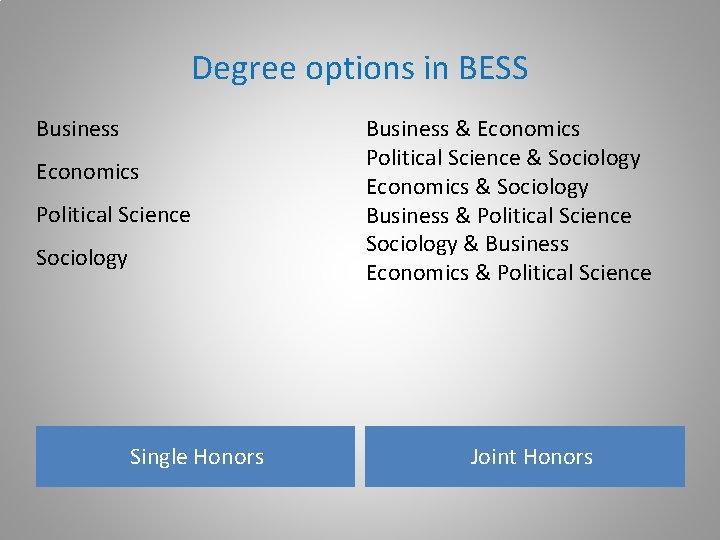 Degree options in BESS Business Economics Political Science Sociology Single Honors Business & Economics