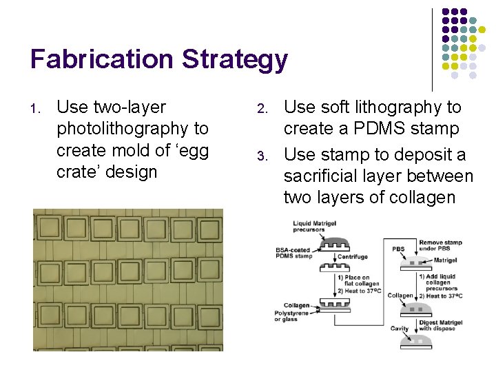 Fabrication Strategy 1. Use two-layer photolithography to create mold of ‘egg crate’ design 2.