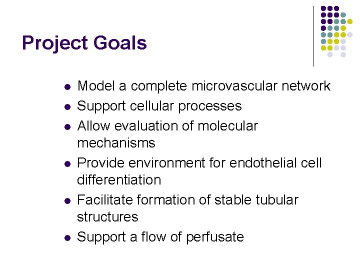 Project Goals l l l Model a complete microvascular network Support cellular processes Allow