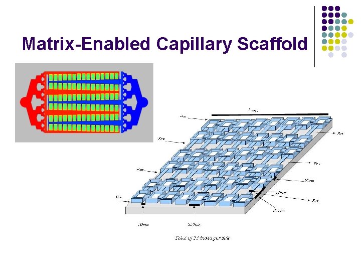 Matrix-Enabled Capillary Scaffold 