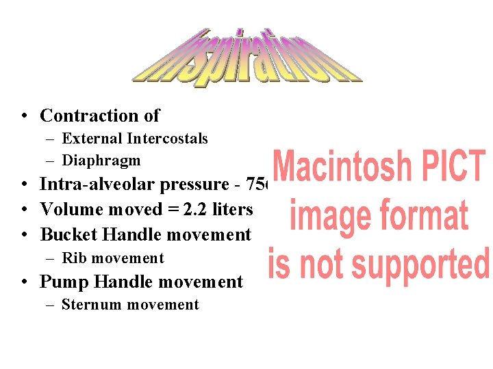  • Contraction of – External Intercostals – Diaphragm • Intra-alveolar pressure - 756