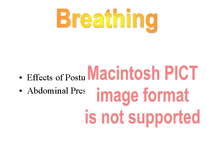  • Effects of Posture • Abdominal Pressure 