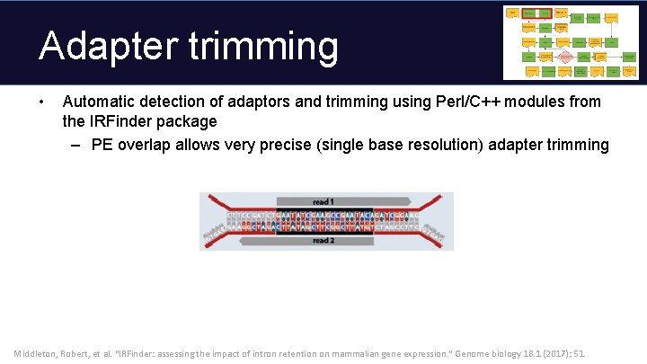 Adapter trimming • Automatic detection of adaptors and trimming using Perl/C++ modules from the