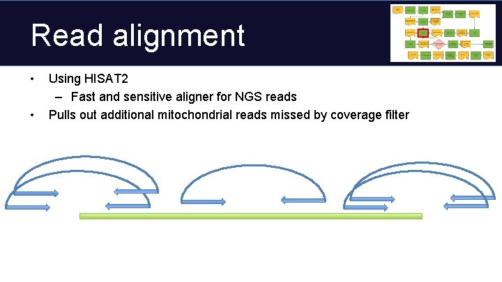 Read alignment • • Using HISAT 2 – Fast and sensitive aligner for NGS