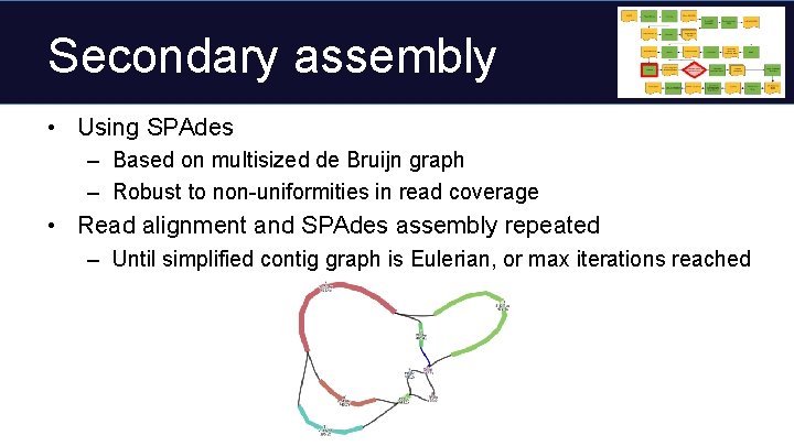 Secondary assembly • Using SPAdes – Based on multisized de Bruijn graph – Robust