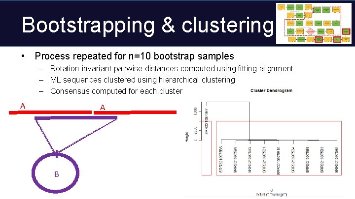 Bootstrapping & clustering • Process repeated for n=10 bootstrap samples – Rotation invariant pairwise