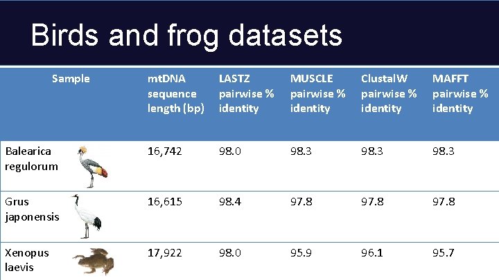 Birds and frog datasets Sample mt. DNA sequence length (bp) LASTZ pairwise % identity