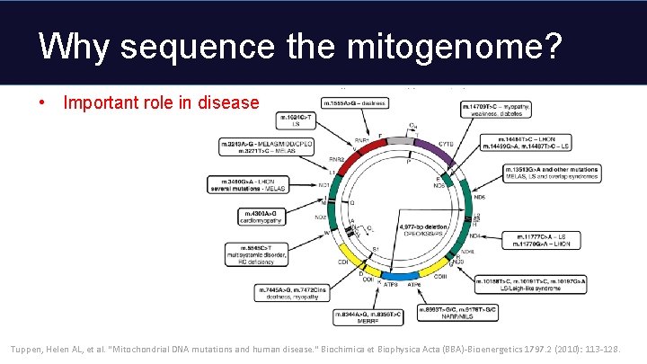 Why sequence the mitogenome? • Important role in disease Tuppen, Helen AL, et al.