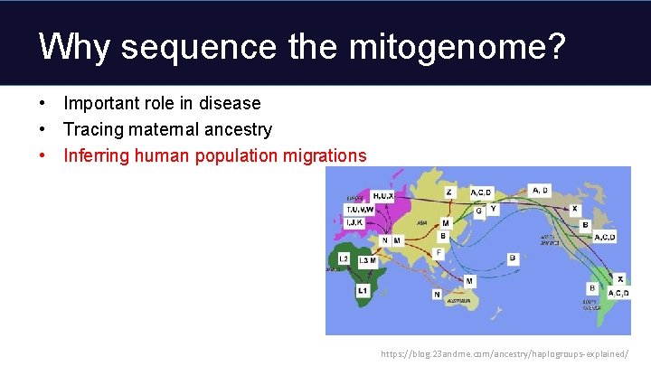 Why sequence the mitogenome? • Important role in disease • Tracing maternal ancestry •