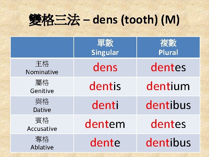 變格三法 – dens (tooth) (M) 主格 Nominative 屬格 Genitive 與格 Dative 賓格 Accusative 奪格