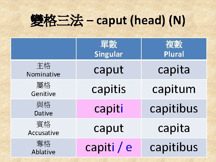 變格三法 – caput (head) (N) 主格 Nominative 屬格 Genitive 與格 Dative 賓格 Accusative 奪格