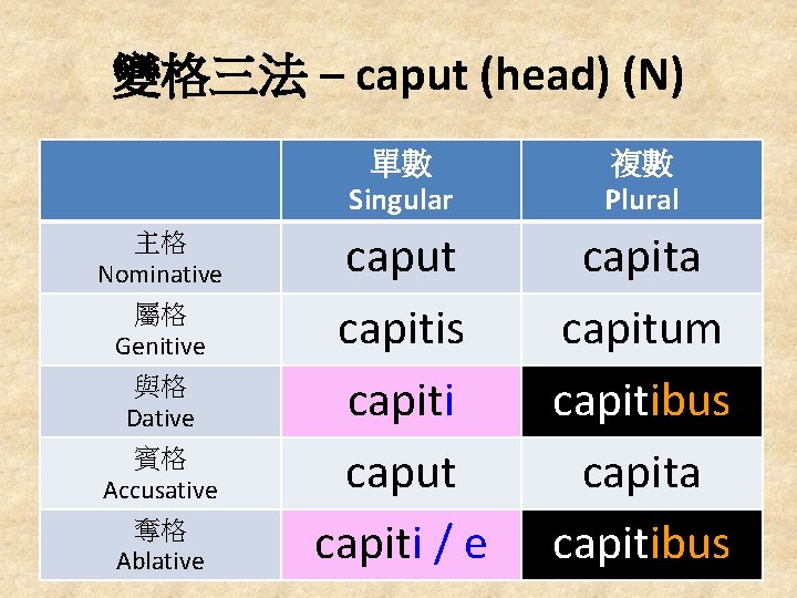 變格三法 – caput (head) (N) 主格 Nominative 屬格 Genitive 與格 Dative 賓格 Accusative 奪格