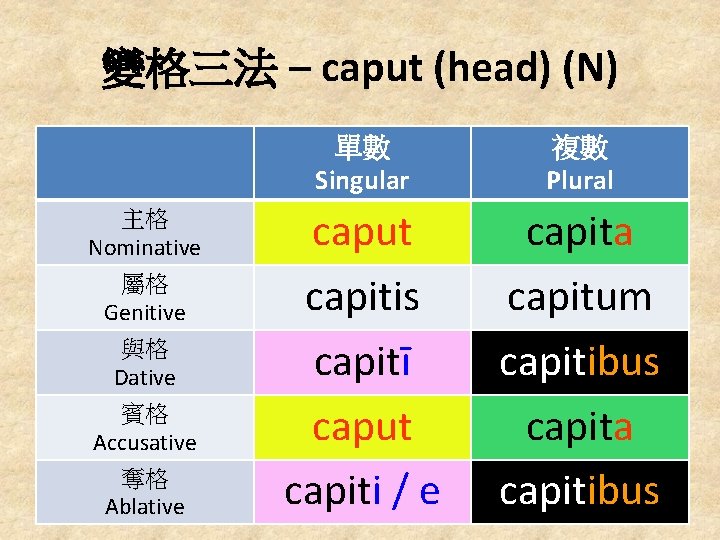 變格三法 – caput (head) (N) 主格 Nominative 屬格 Genitive 與格 Dative 賓格 Accusative 奪格