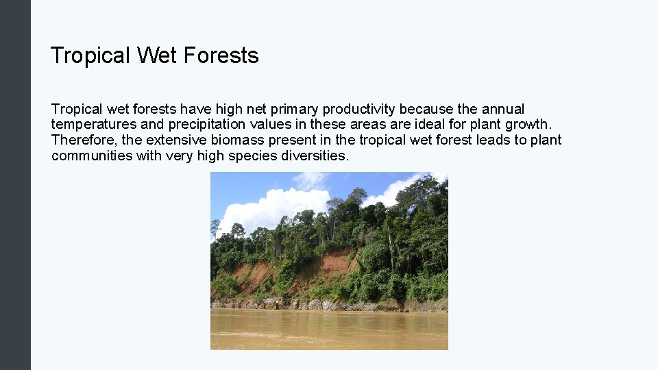 Tropical Wet Forests Tropical wet forests have high net primary productivity because the annual