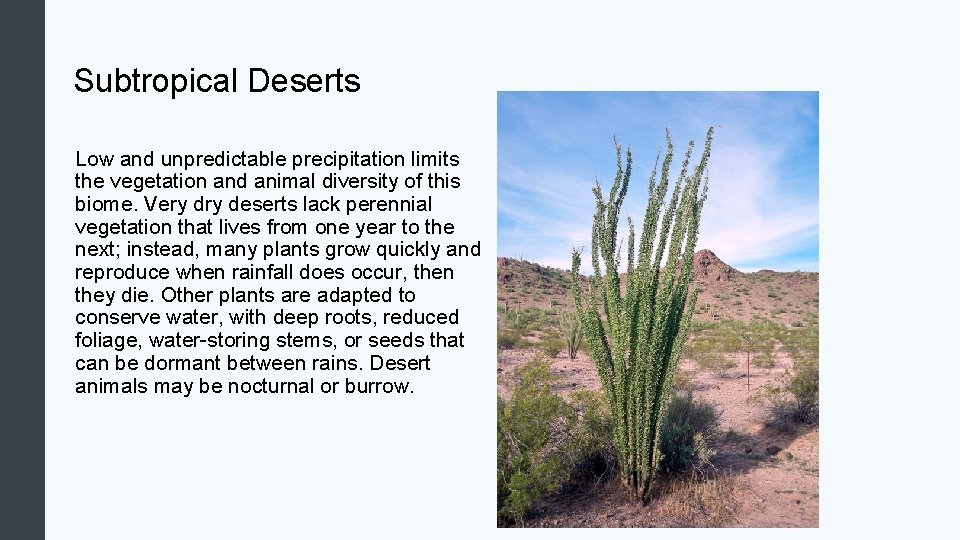 Subtropical Deserts Low and unpredictable precipitation limits the vegetation and animal diversity of this