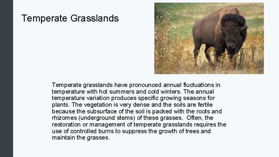 Temperate Grasslands Temperate grasslands have pronounced annual fluctuations in temperature with hot summers and