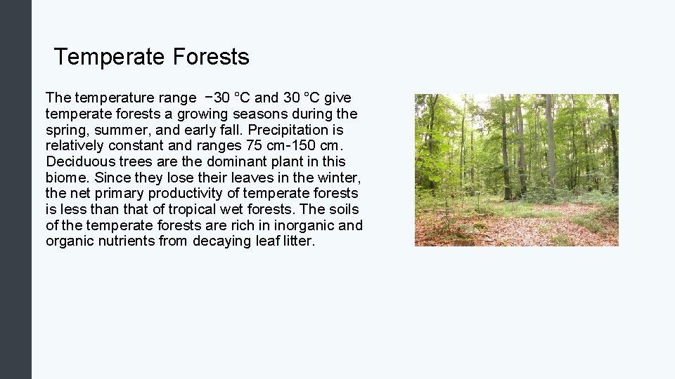 Temperate Forests The temperature range − 30 °C and 30 °C give temperate forests