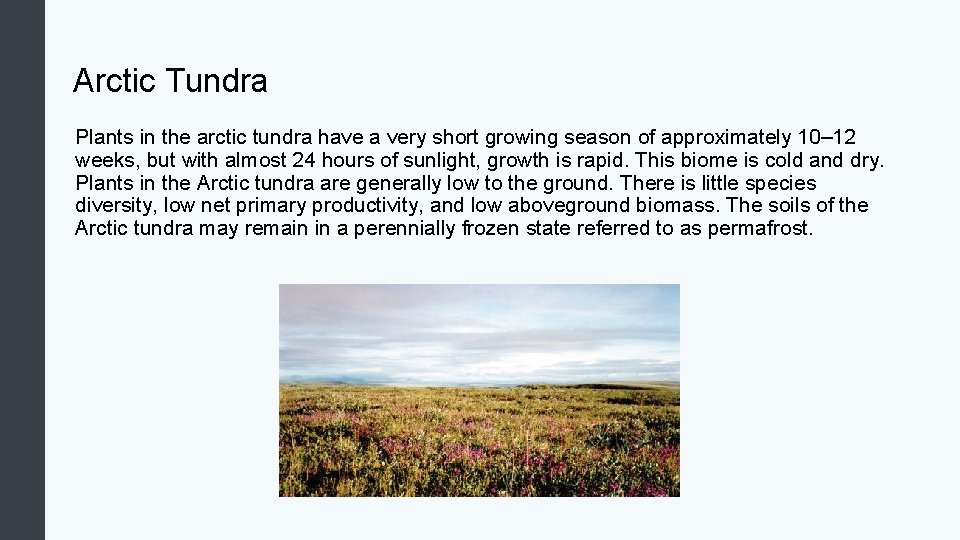 Arctic Tundra Plants in the arctic tundra have a very short growing season of